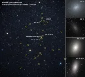 NASA’s Hubble provides bird’s-eye view of Andromeda galaxy’s ecosystem