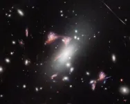 NASA’s Webb reveals distorted galaxy forming cosmic question mark