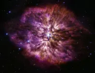 NASA’s Webb Telescope captures rarely seen prelude to supernova 2