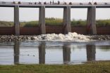 NASA/USGS satellite sees green-up along Colorado River's Delta after experimental flow 3