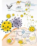 Natural products with potential efficacy against lethal viruses