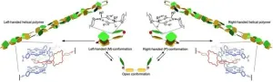 Nature inspires self-assembling helical polymer