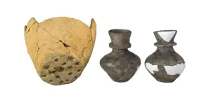 Neolithic ceramics reveal dairy processing from milk of multiple species