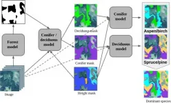 Neural network has learned to identify tree species