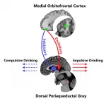 Neural roots/origins of alcoholism identified by British and Chinese researchers