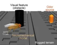 NeuroMechFly v2: Simulating how fruit flies see, smell, and navigate 2