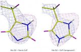 Neutron crystallography solves long-standing biological mystery