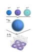 Neutrons find 'missing' magnetism of plutonium 2