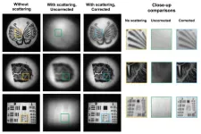 NeuWS camera answers ‘holy grail problem’ in optical imaging