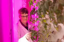 New $3.7m climate crop lab will create food for ‘tomorrow’s atmosphere today’