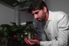 New $3.7m climate crop lab will create food for ‘tomorrow’s atmosphere today’ 3