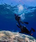 New 400-year temperature record shows Great Barrier Reef is facing catastrophic damage, researchers warn 2