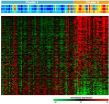 New advances in the chronic lymphocytic leukaemia genome