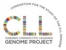 New advances in the chronic lymphocytic leukaemia genome 2