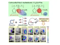 New and improved drug delivery molecules for skeletal muscle