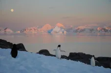 New Antarctic extremes ‘virtually certain’ as world warms