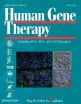 New anti-HIV gene therapy makes T-cells resistant to HIV infection