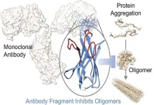 New antibody discovery platform can inform Alzheimer's and Parkinson's