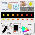 New approach allows faster test of urea in body fluids