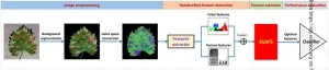 New artificial intelligence algorithm for more accurate plant disease detection