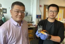 New battery cathode material could revolutionize EV market and energy storage