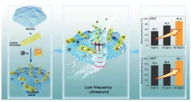 New biochar-based technology boosts antibiotic removal from water using low-energy ultrasound