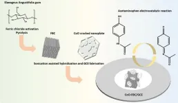 New biochar nanocomposite enhances detection of acetaminophen and uric acid in urine