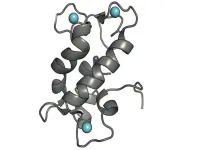 New biosensor reveals activity of elusive metal that’s essential for life