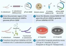 New broadly applicable tool provides insight into fungicide resistance