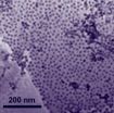 New cobalt-graphene catalyst could challenge platinum for use in fuel cells