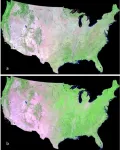 New composite strategy leaves coverage questions behind, researchers report