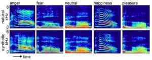 New computational model of real neurons could lead to better AI 2