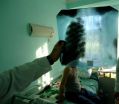 New consensus reached to help tackle multidrug-resistant and extensively drug-resistant TB