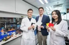 New cooling ceramic can enhance energy efficiency for the construction sector and help combat global warming—City University of Hong Kong research 2