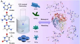 New copper metal-organic framework nanozymes enable intelligent food detection