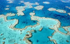 New coral disease forecasting system led by University of Hawai'i team