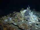 New deep-sea hot springs discovered in the Atlantic