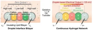 New ‘droplet battery’ could pave the way for miniature bio-integrated devices