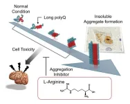 New drug candidate for spinocerebellar ataxia