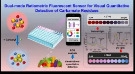 New dual mode ratio fluorescence sensing system enables rapid in situ detection of carbaryl residues