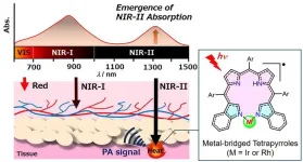 New dyes pave way for better photothermal cancer treatment and diagnosis