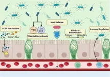 New evidence links gut microbiome to chronic disease outcomes