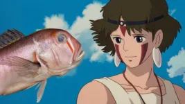 New fish species with ‘face paint’ named after Studio Ghibli character