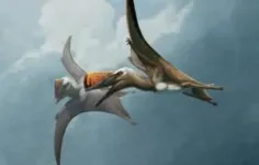 New fossil reveals the evolution of flying reptiles 2