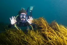 New genetic web tool to help restore climate-resilient marine ecosystems