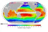 New global maps detail human-caused ocean acidification