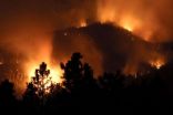 New global wildfire analysis indicates humans need to coexist and adapt