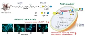 New health benefits of red seaweeds unveiled