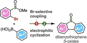 New horizons in chemical biology: A novel approach to synthesize dibenzothiophene s-oxides