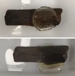 New hydrogel could preserve waterlogged wood from shipwrecks